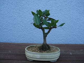 k-DSC00838.JPG