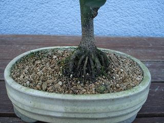 k-DSC00837.JPG