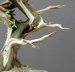 Dscn8720v1.jpg