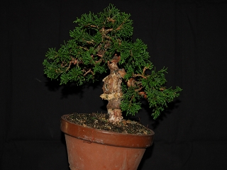 Vorderseite