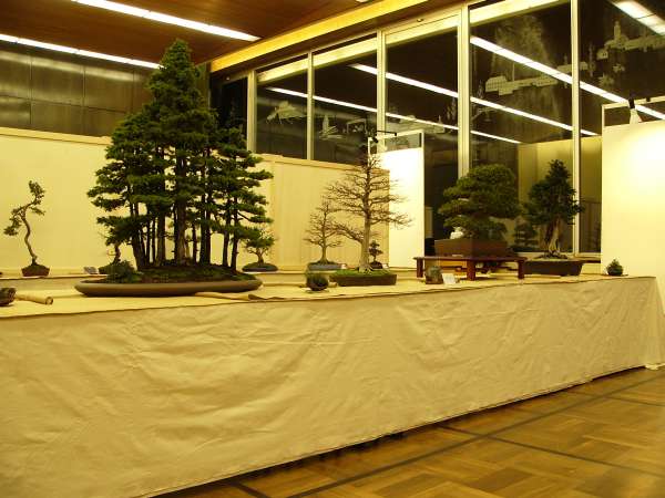 Bild2