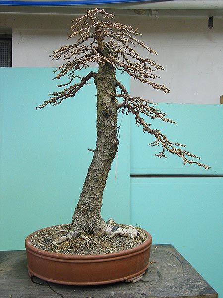 Februar 2008 und danach