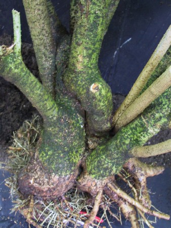 117-1715_img k.jpg