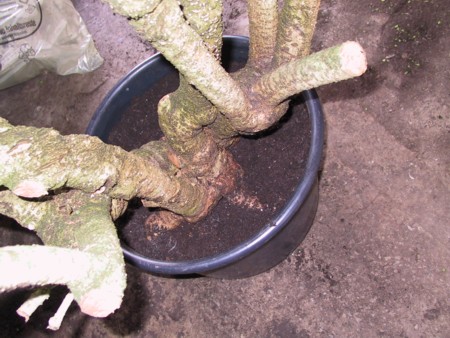 117-1735_img k.jpg