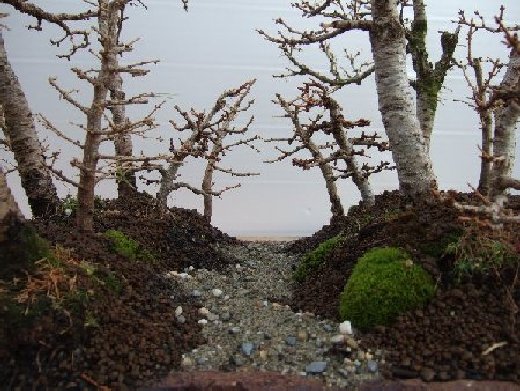Dscf2118.jpg