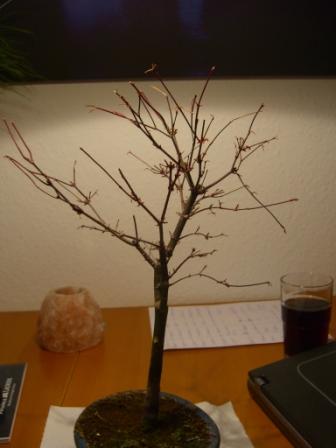 14.03.2008.3.JPG