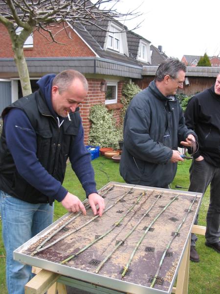 WaldgestaltungNorbertSchale3klein.jpg