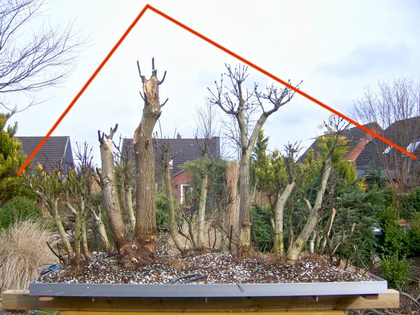 WaldgestaltungNorbertBaumhöheklein.jpg