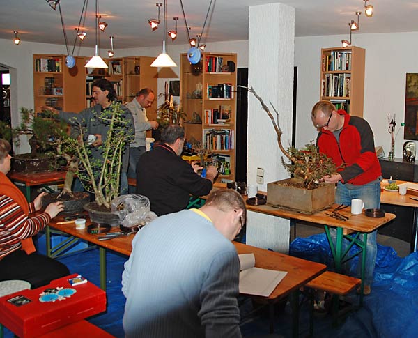 DSC_2312v.jpg