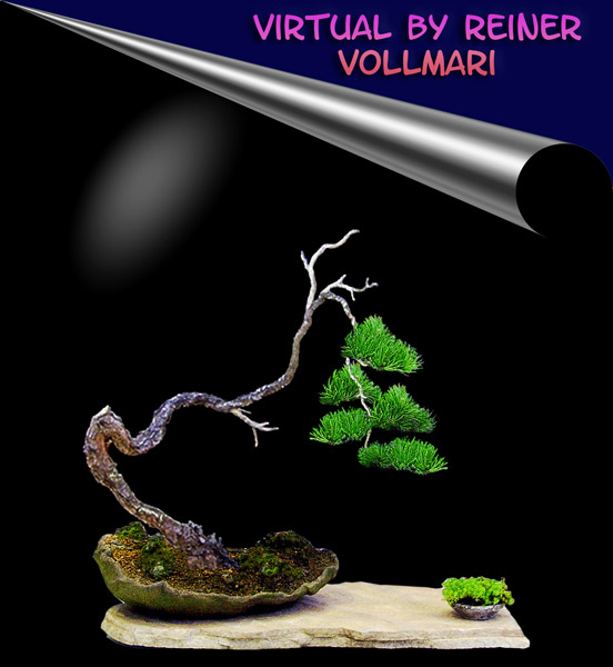 Virtual-sylvestris.jpg