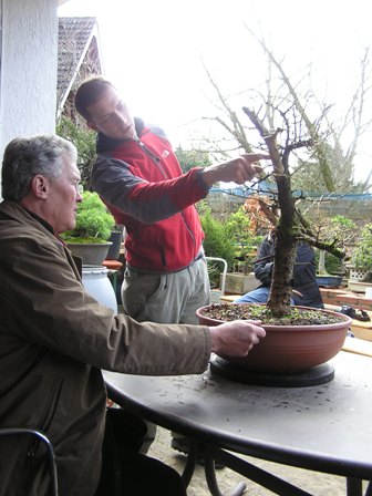 Baumbesprechung