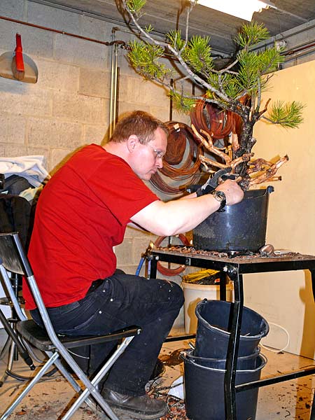 Nigra_Arbeit3.jpg