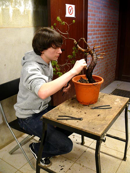 Max-Arbeit1.jpg