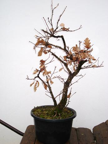 DSC031281.JPG