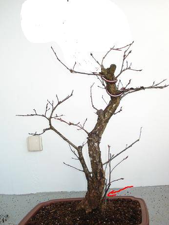 vorschlag.jpg