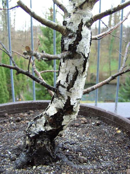 BILD0290_b.JPG