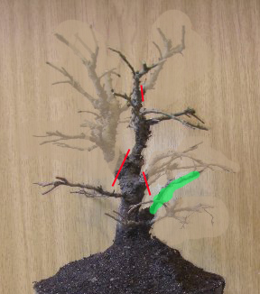 Idee 1
