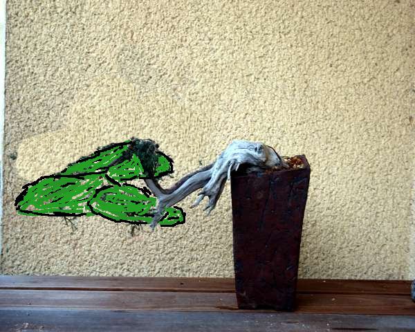 Eventuell, wenn möglich, den Baum dann  gegen den Uhrzeigersinn kippen