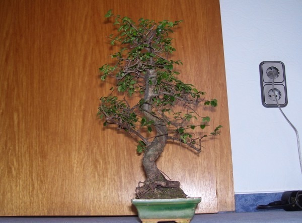new_100_0867.jpg