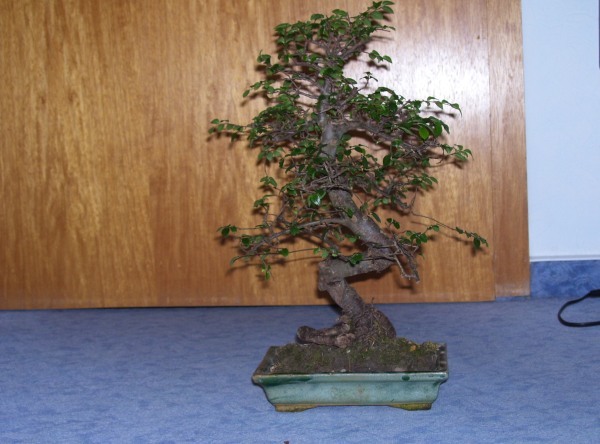 new_100_0865.jpg