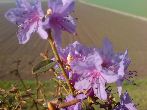 DSC00140.jpg