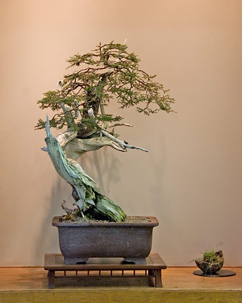 WP36-DSC_2704v.jpg