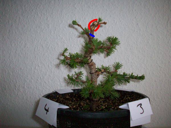 Laerche-Philipp.jpg