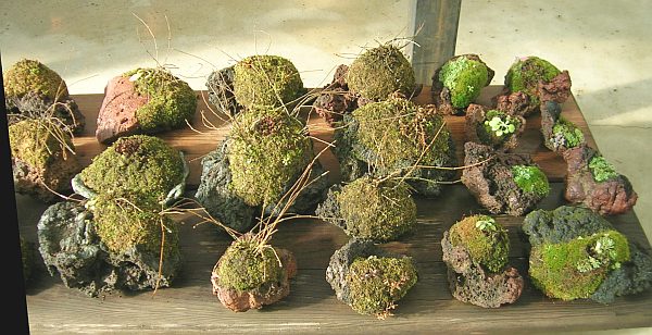 Beist_detail_4.jpg