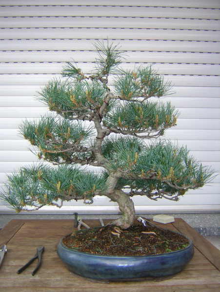 DSCN1679.JPG