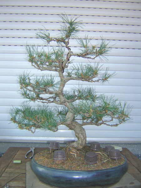 DSCN1680.JPG