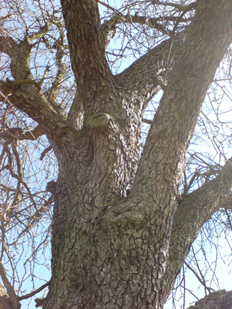 DSC00096.jpg