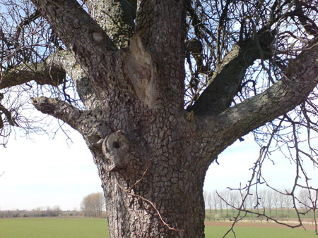 DSC00095.jpg