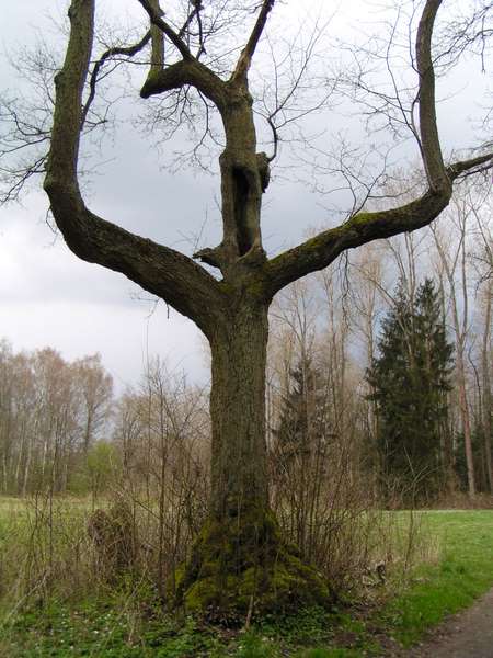 P1010084.JPG