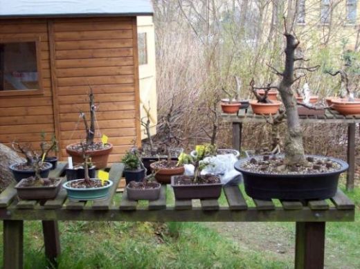 Garten 004.jpg