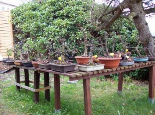 Garten 003.jpg