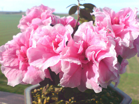 DSC00147.jpg