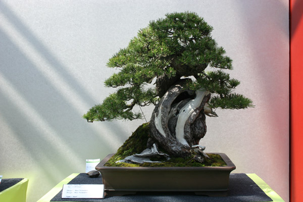 Eba-01.jpg