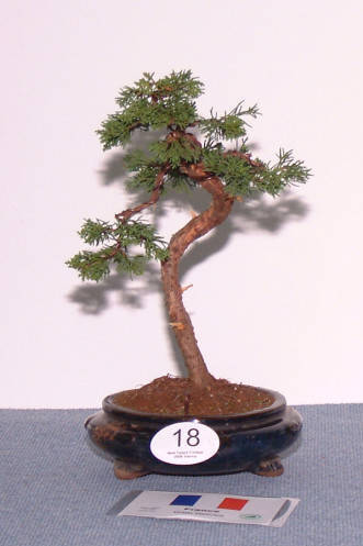2008_0427_150742b_1.jpg