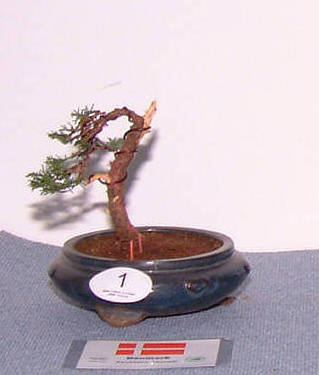 2008_0427_150804b_1.jpg