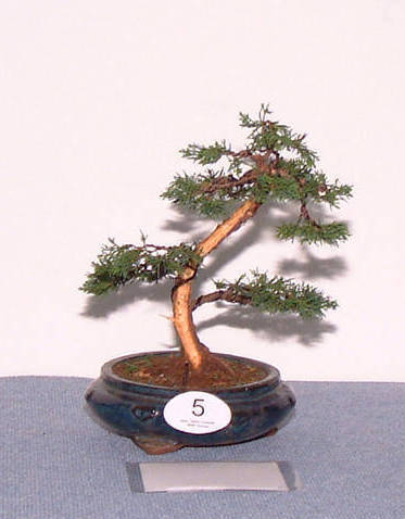 2008_0427_150804b_2.jpg