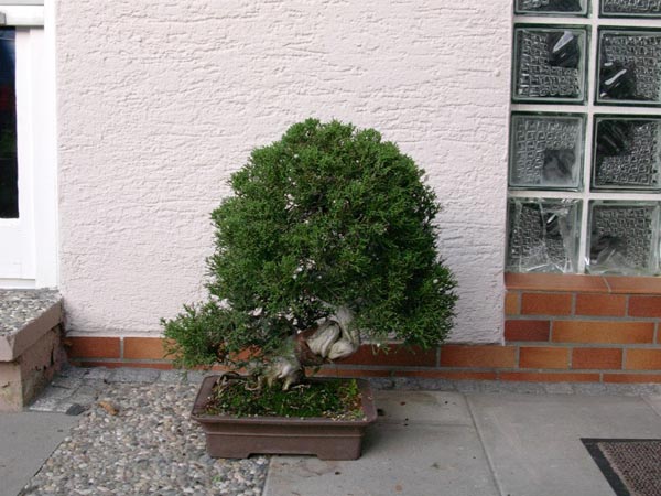 Koreaner2006.jpg