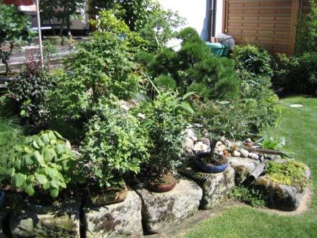 Garten_3a.JPG