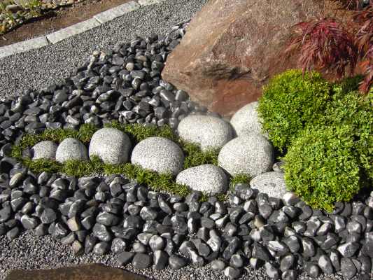 Garten fertiggg.jpg