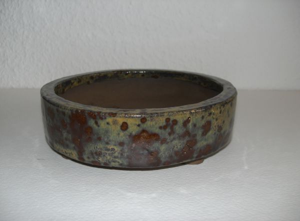 new_Schale_0049.jpg