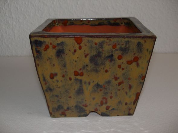 new_Schale_0044.jpg