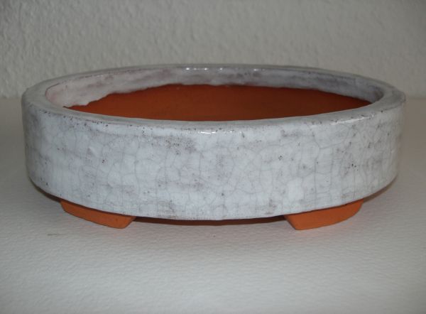new_Schale_0043.jpg