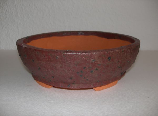 new_Schale_0055.jpg