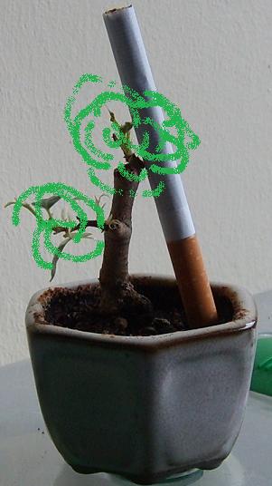 So soll er mal aussehn... (entschuldigt die scheussliche Qualität!)