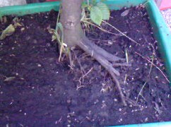 Foto-0046.jpg