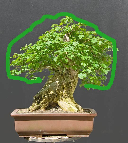 NSC_5170vr.jpg